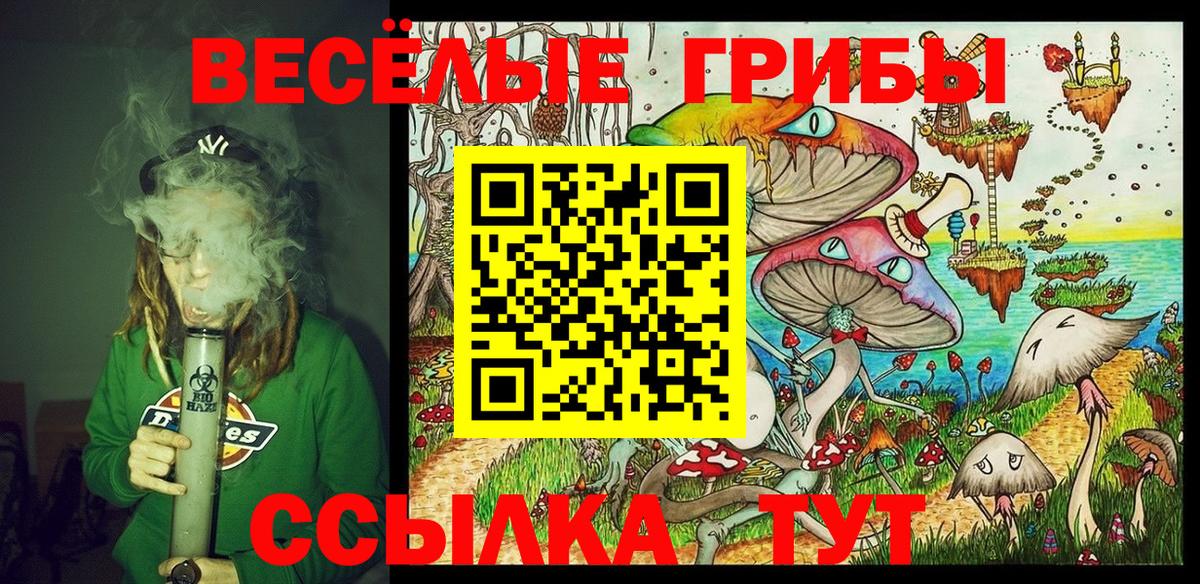 Абакан  Галлюциногенные грибы Magic Shrooms  Вход с VPN  Псилоцибиновые грибы Cubensis 