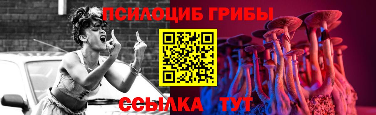 Псилоцибиновые грибы прущие грибы Абакан